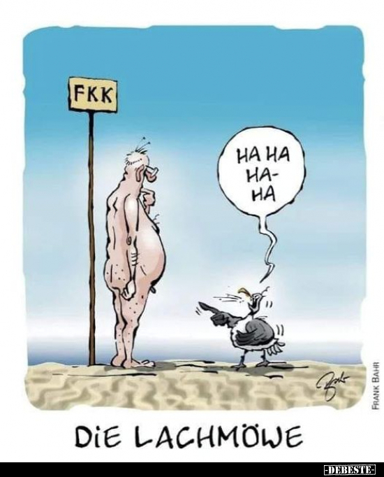 Die Lachmöwe... - Lustige Bilder | DEBESTE.de