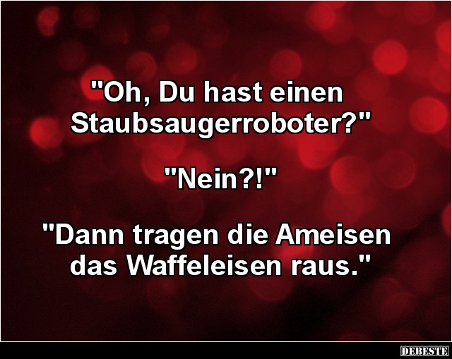 Oh, Du hast einen Staubsaugerroboter? - Lustige Bilder | DEBESTE.de