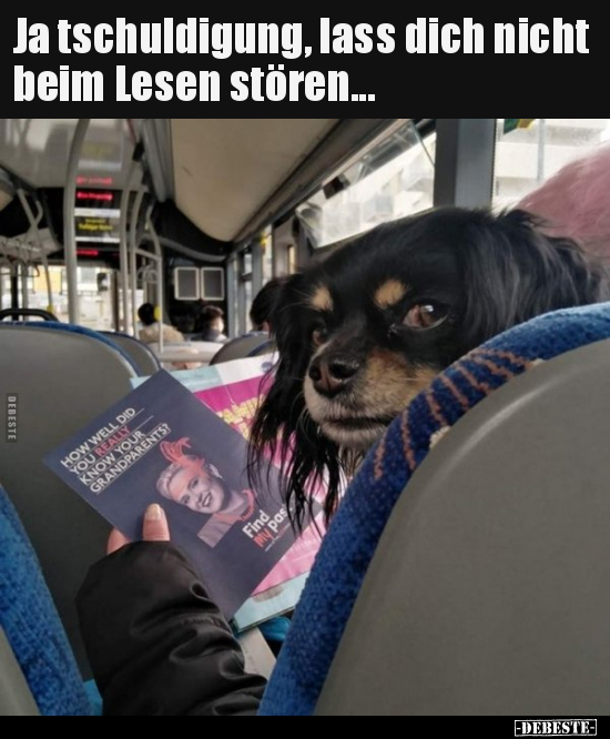 Ja tschuldigung, lass dich nicht beim Lesen stören... - Lustige Bilder | DEBESTE.de