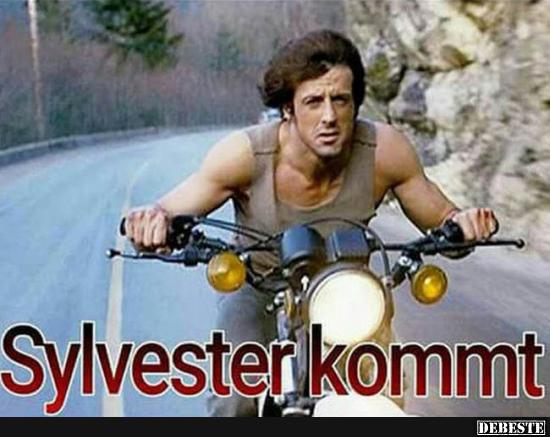 Sylvester kommt.. - Lustige Bilder | DEBESTE.de