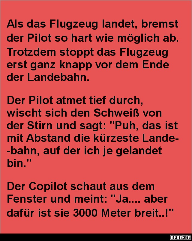 Als das Flugzeug landet, bremst der Pilot so hart wie möglich ab.. - Lustige Bilder | DEBESTE.de