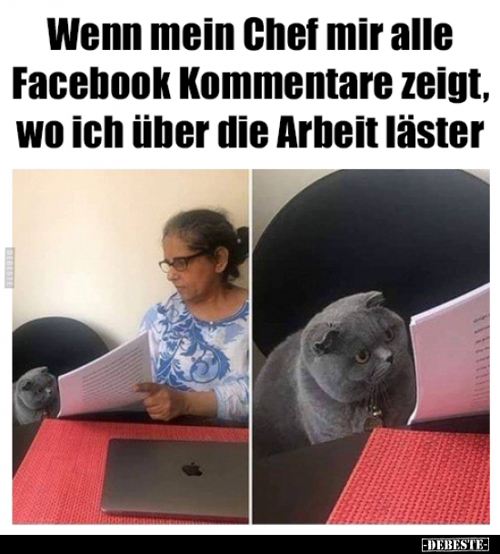 Wenn mein Chef mir alle Facebook Kommentare zeigt, wo ich.. - Lustige Bilder | DEBESTE.de