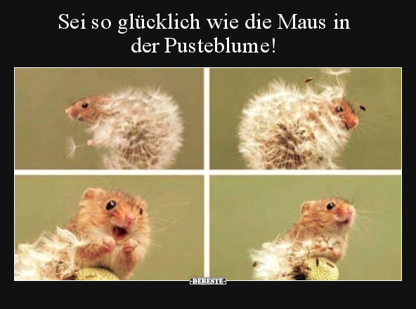 Sei so glücklich wie die Maus in der Pusteblume!.. - Lustige Bilder | DEBESTE.de