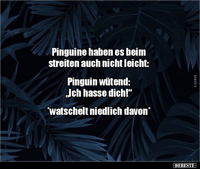 Pinguine haben es beim streiten auch nicht.. - Lustige Bilder | DEBESTE.de