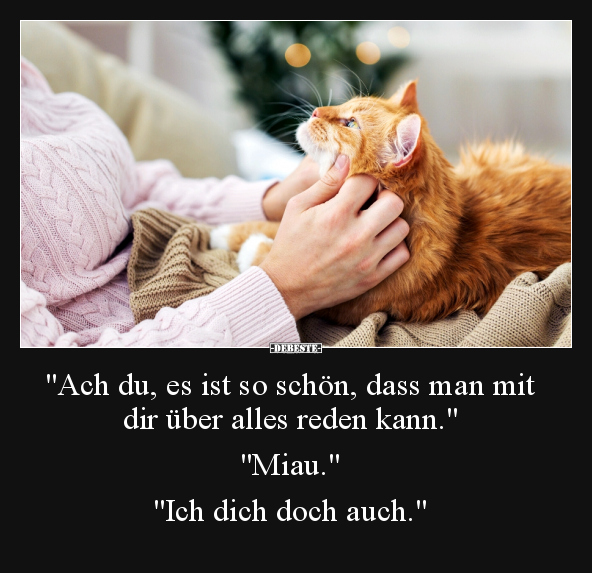 "Ach du, es ist so schön, dass man mit dir über alles.." - Lustige Bilder | DEBESTE.de