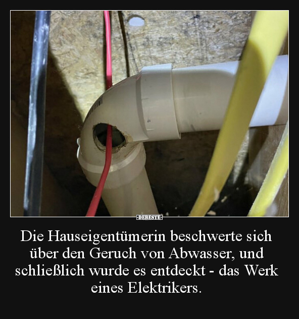 Die Hauseigentümerin beschwerte sich über den Geruch von.. - Lustige Bilder | DEBESTE.de