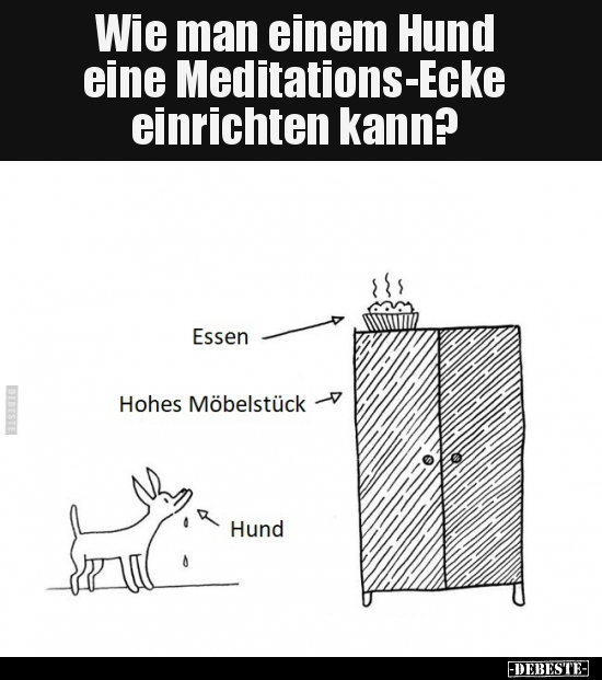 Wie man einem Hund eine Meditations-Ecke einrichten.. - Lustige Bilder | DEBESTE.de