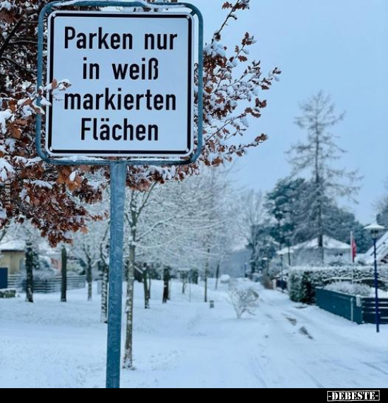 Parken nur in weiß markierten Flächen.. - Lustige Bilder | DEBESTE.de