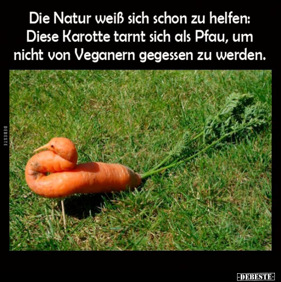 Die Natur weiß sich schon zu helfen: Diese Karotte tarnt.. - Lustige Bilder | DEBESTE.de