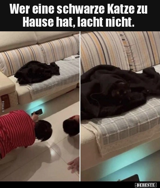 Wer eine schwarze Katze zu Hause hat, lacht nicht... - Lustige Bilder | DEBESTE.de