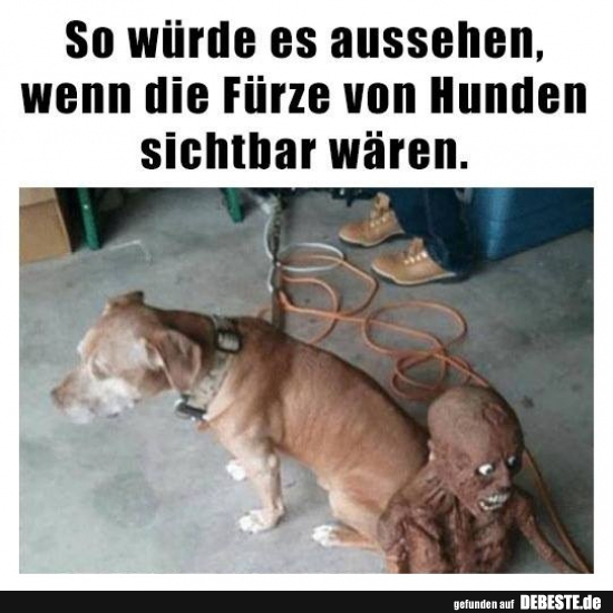 So würde es aussehen, wenn die Fürze von Hunden.. - Lustige Bilder | DEBESTE.de