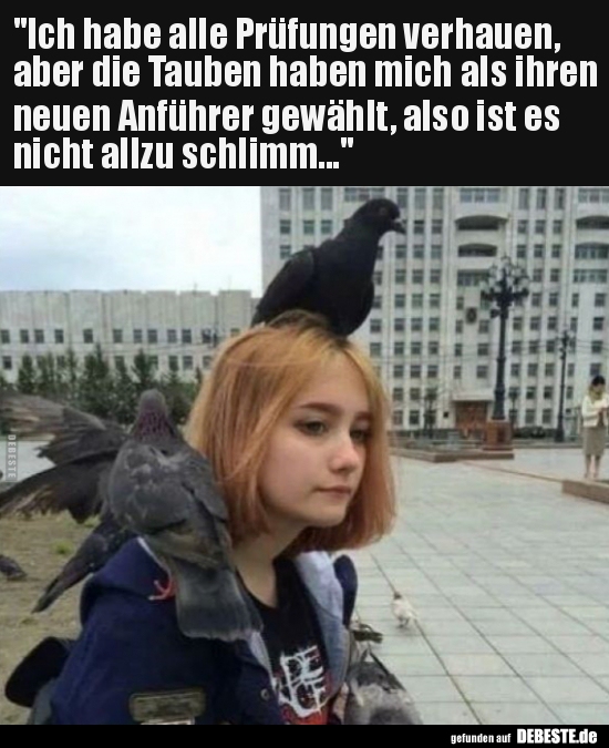 "Ich habe alle Prüfungen verhauen, aber die Tauben haben.." - Lustige Bilder | DEBESTE.de