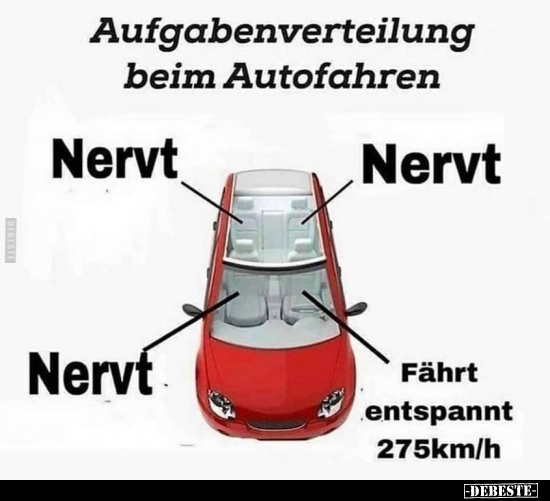 Auigabenvertellung beim Autofahren.. - Lustige Bilder | DEBESTE.de