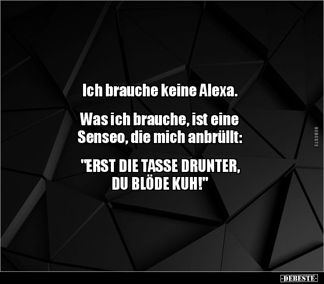 Ich brauche keine Alexa. Was ich brauche, ist eine.. - Lustige Bilder | DEBESTE.de