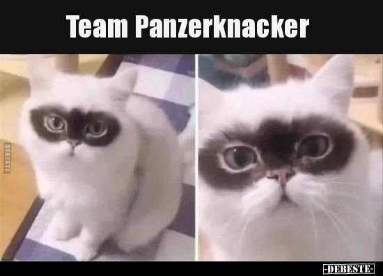Team Panzerknacker.. - Lustige Bilder | DEBESTE.de