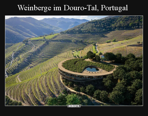 Weinberge im Douro-Tal, Portugal - Lustige Bilder | DEBESTE.de