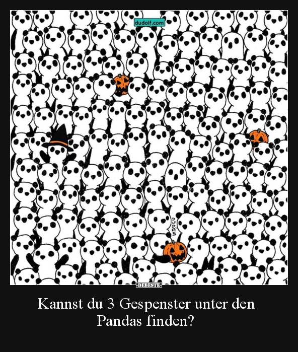 Kannst du 3 Gespenster unter den Pandas finden?.. - Lustige Bilder | DEBESTE.de