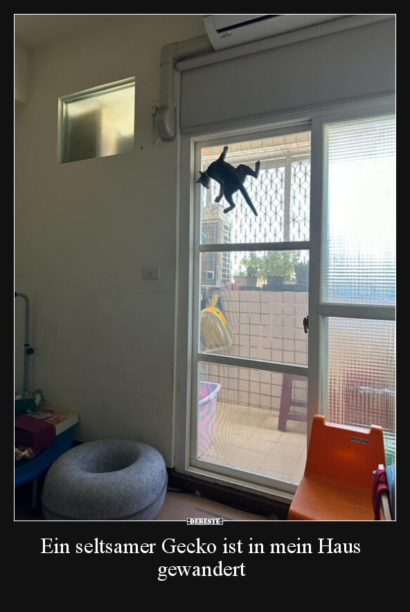Ein seltsamer Gecko ist in mein Haus gewandert.. - Lustige Bilder | DEBESTE.de