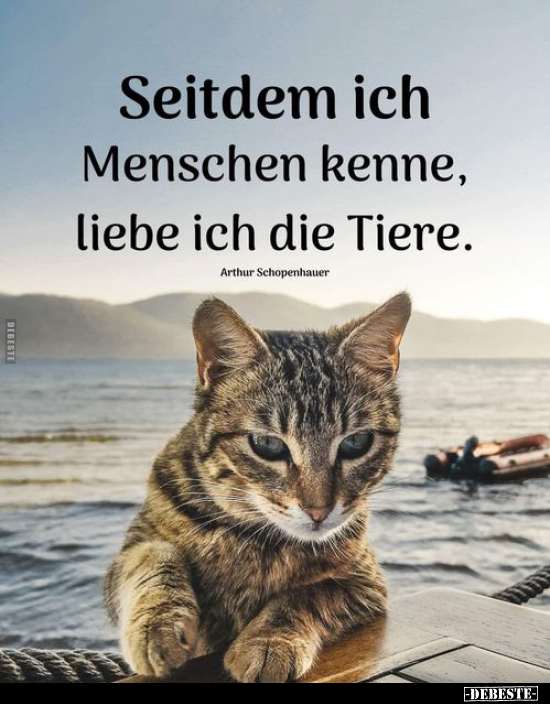 Seitdem ich Menschen kenne, liebe ich die Tiere... - Lustige Bilder | DEBESTE.de