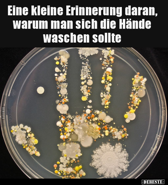 Eine kleine Erinnerung daran, warum man sich die Hände.. - Lustige Bilder | DEBESTE.de