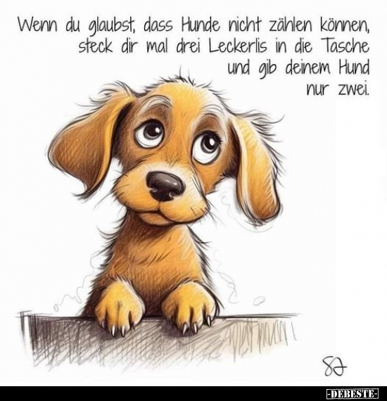 Wenn du glaubst, dass Hunde nicht zählen können, steck dir.. - Lustige Bilder | DEBESTE.de