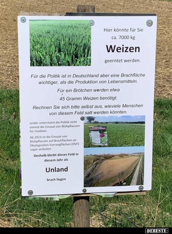 Hier könnte für Sie ca. 7000 kg Weizen geerntet werden... - Lustige Bilder | DEBESTE.de