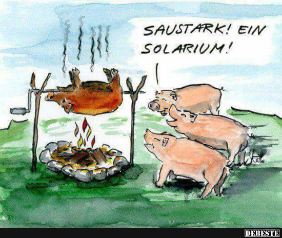 Saustark!.. Ein Solarium! - Lustige Bilder | DEBESTE.de