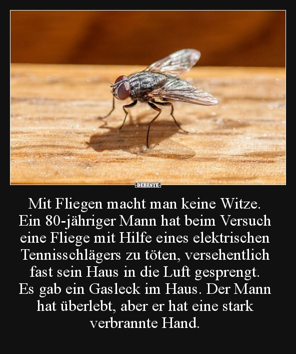 Mit Fliegen macht man keine Witze. Ein 80-jähriger Mann.. - Lustige Bilder | DEBESTE.de