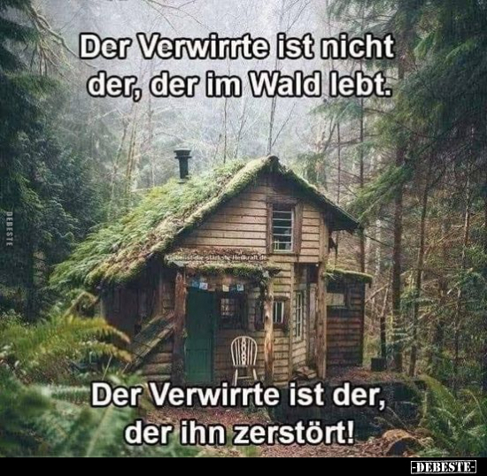 Der Verwirrte ist nicht der, der im Wald lebt.. - Lustige Bilder | DEBESTE.de