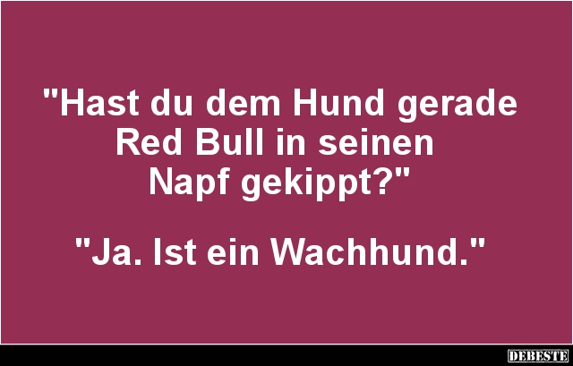 Hast du dem Hund gerade Red Bull in seinen Napf gekippt? - Lustige Bilder | DEBESTE.de