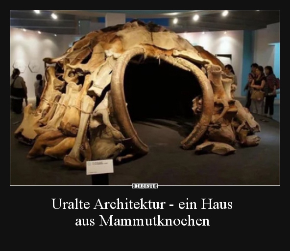 Uralte Architektur - ein Haus aus Mammutknochen.. - Lustige Bilder | DEBESTE.de