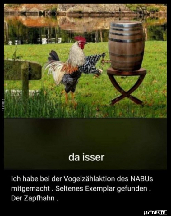 Ich habe bei der Vogelzählaktion des NABUs mitgemacht.. - Lustige Bilder | DEBESTE.de
