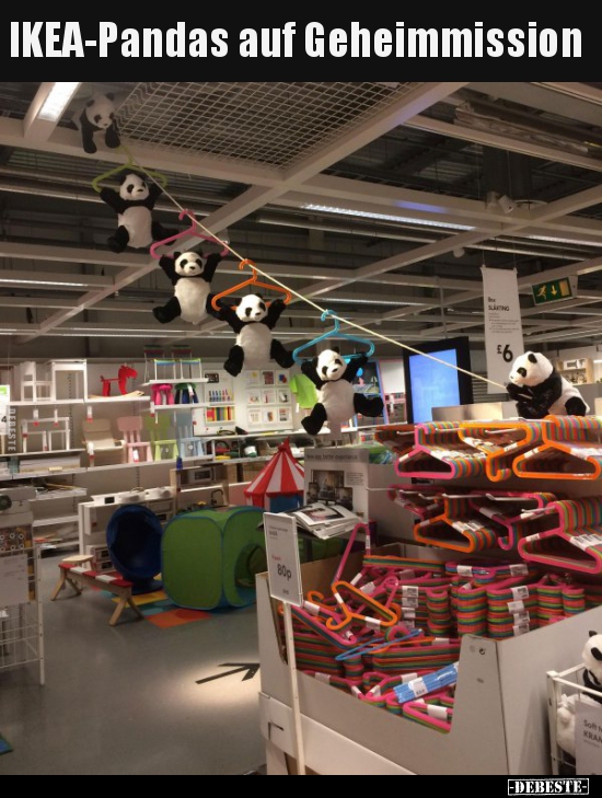 IKEA-Pandas auf Geheimmission.. - Lustige Bilder | DEBESTE.de