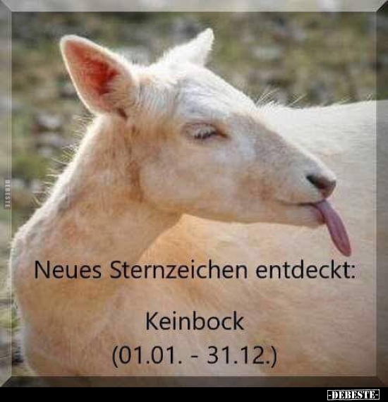 Neues Sternzeichen entdeckt: Keinbock (01.01. - 31.12.) - Lustige Bilder | DEBESTE.de