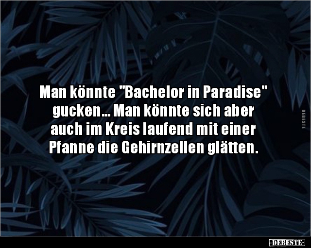 Man könnte "Bachelor in Paradise" gucken... - Lustige Bilder | DEBESTE.de