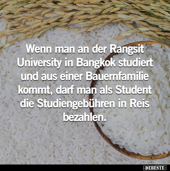 Wenn man an der Rangsit University in Bangkok studiert und.. - Lustige Bilder | DEBESTE.de