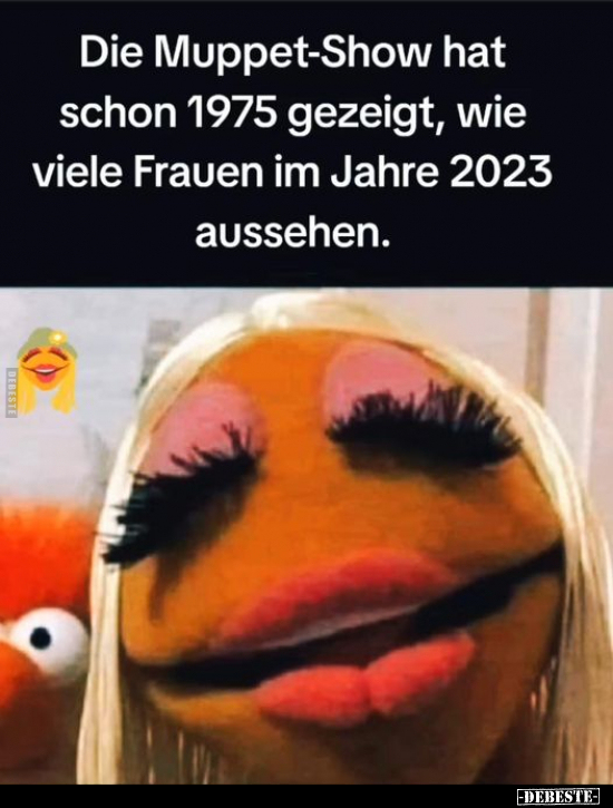 Die Muppet-Show hat schon 1975 gezeigt, wie viele Frauen.. - Lustige Bilder | DEBESTE.de