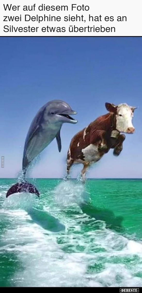 Wer auf diesem Foto zwei Delphine sieht, hat..