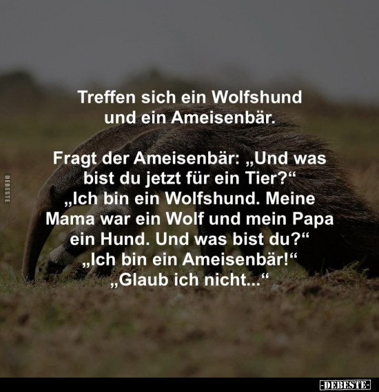 Treffen sich ein Wolfshund und ein Ameisenbär... - Lustige Bilder | DEBESTE.de