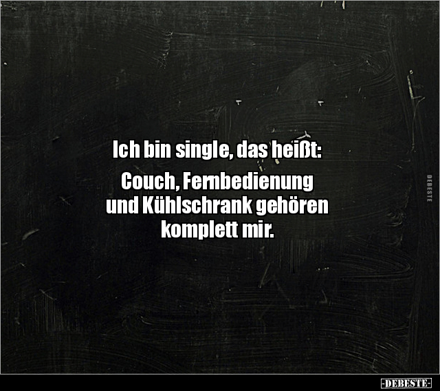 Ich bin single, das heißt: Couch, Fernbedienung  und.. - Lustige Bilder | DEBESTE.de