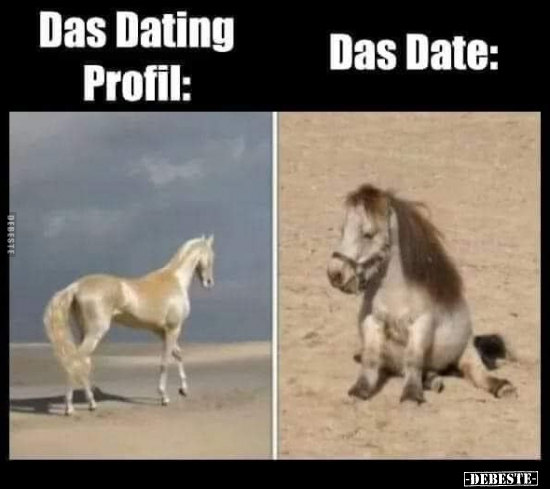 Das Dating Profil / Das Date.. - Lustige Bilder | DEBESTE.de