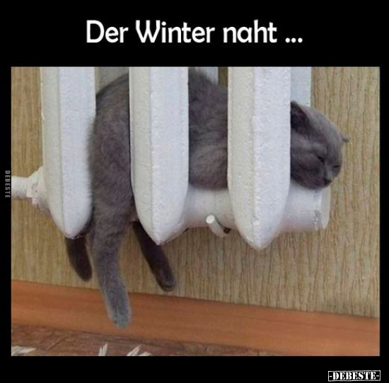 Der Winter naht.. - Lustige Bilder | DEBESTE.de
