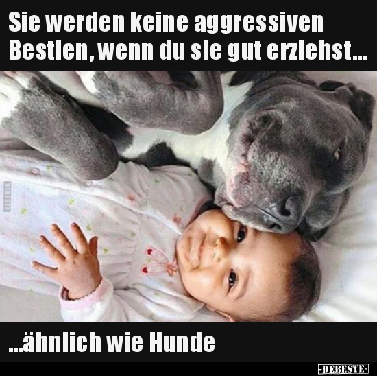 Sie werden keine aggressiven Bestien, wenn du sie gut.. - Lustige Bilder | DEBESTE.de