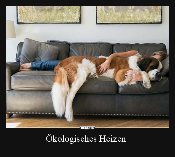 Ökologisches Heizen.. - Lustige Bilder | DEBESTE.de