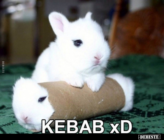 Kebab xD - Lustige Bilder | DEBESTE.de
