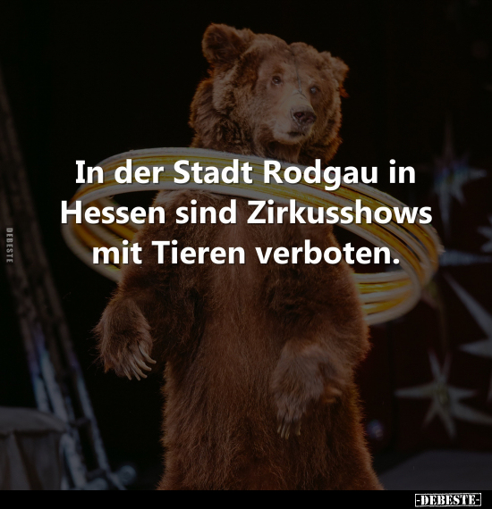In der Stadt Rodgau in Hessen sind Zirkusshows mit.. - Lustige Bilder | DEBESTE.de