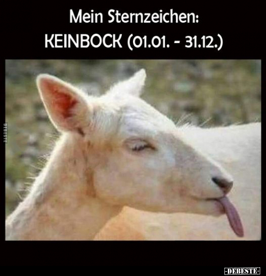 Mein Sternzeichen: KEINBOCK (01.01. - 31.12.).. - Lustige Bilder | DEBESTE.de