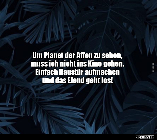 Um Planet der Affen zu sehen, muss ich nicht ins Kino.. - Lustige Bilder | DEBESTE.de