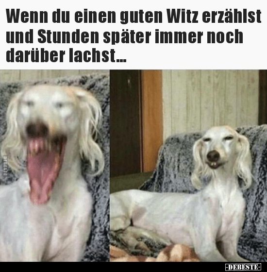 Wenn du einen guten Witz erzählst und Stunden später immer.. - Lustige Bilder | DEBESTE.de