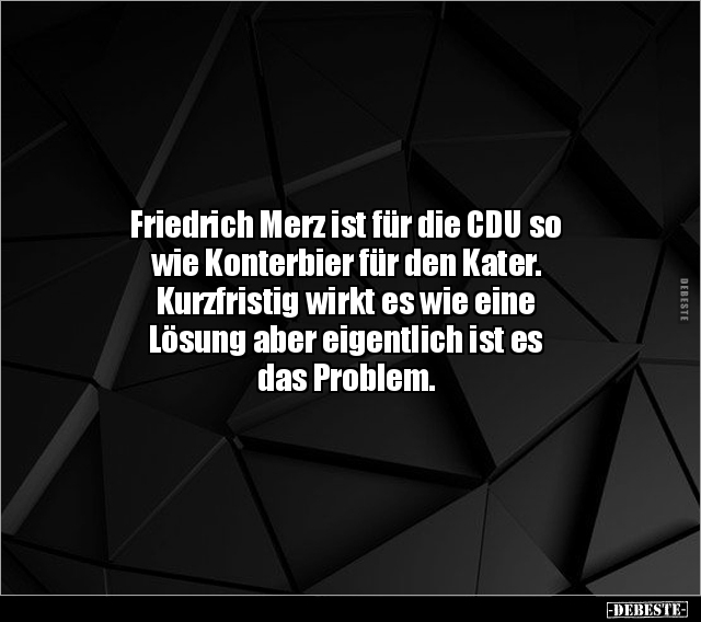 Friedrich Merz ist für die CDU so wie Konterbier für den.. - Lustige Bilder | DEBESTE.de